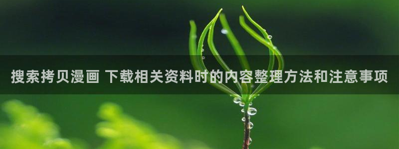 羞羞漫画免费漫画：搜索拷贝漫画 下载相关资料时的内容整理方法和注意事项